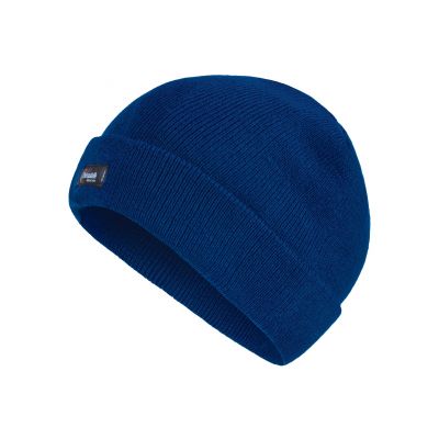 Work clothes, Regatta Professional TRC320 Thinsulate Hat Royal