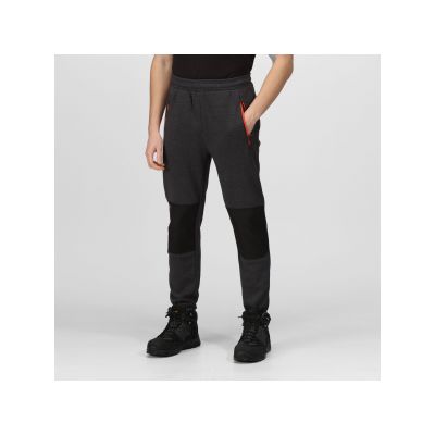 Панталони и гащеризони, Работно облекло, Regatta Professional TRJ395  TRJ395 TACTICAL JEOPARDIZE JOGGERS Steel Grey
